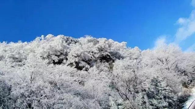 钱学森和蒋英恩爱62年,青梅竹马天作之合,不离不弃的一生