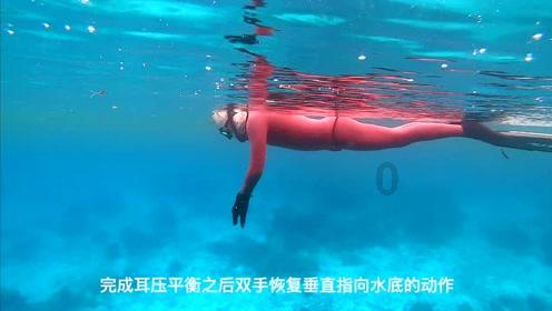 我修的可能是假仙